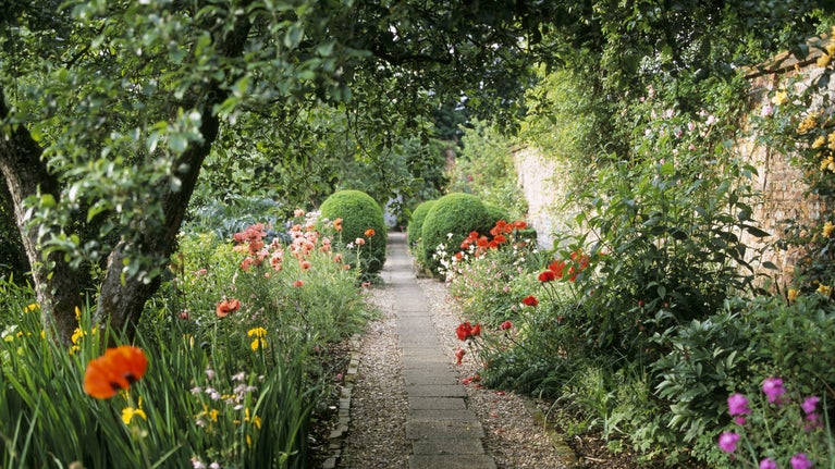A peaceful garden path lined with poppies, irises and flowering borders in the Walled Garden at Gunby.
